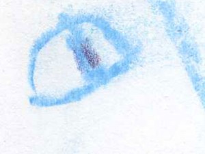oeil2